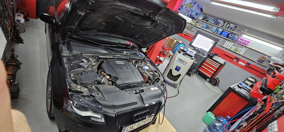 20230719_111024 1731974655